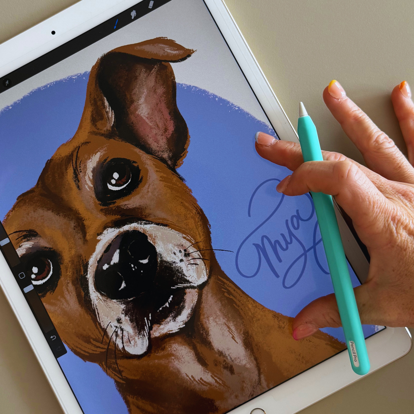 Digital Pet Portraits in Procreate