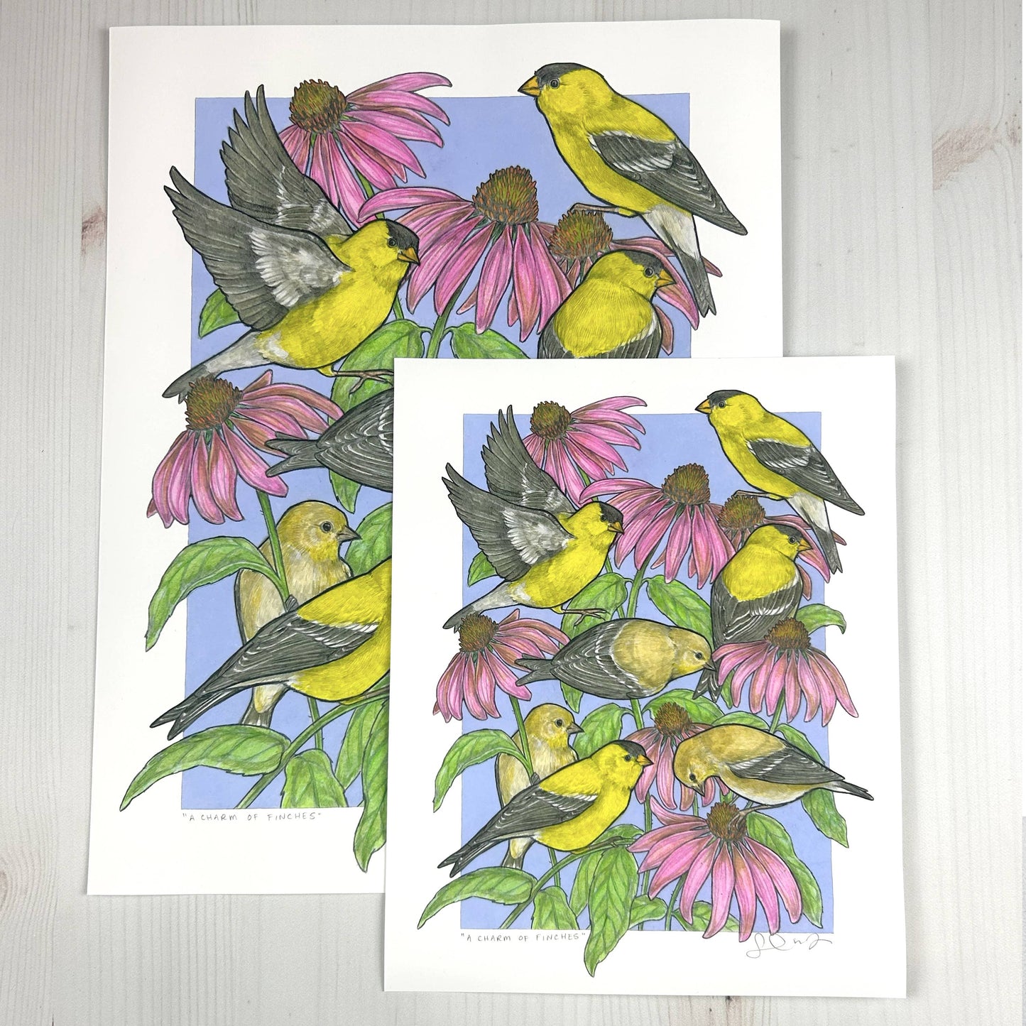 A Charm of Finches Art Print