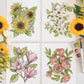 Garden Watercolor DIY Art Kit