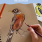 Bird Sketching with Colored Pencils
