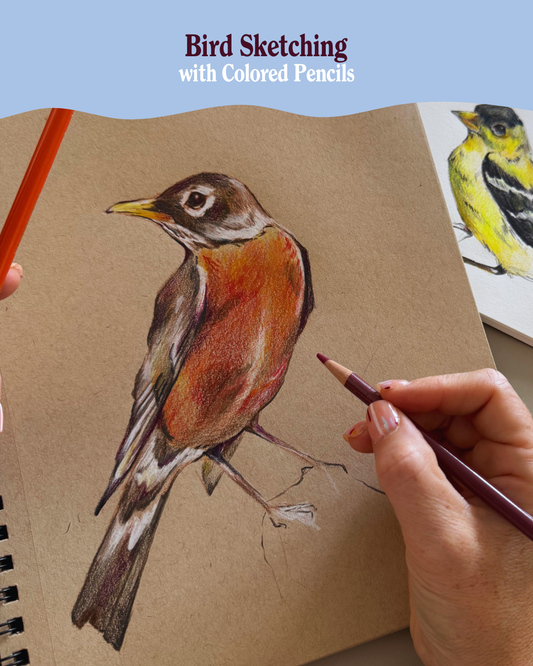 Bird Sketching with Colored Pencils
