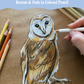 Mystical Bird Sketching: Owls & Ravens in Colored Pencils