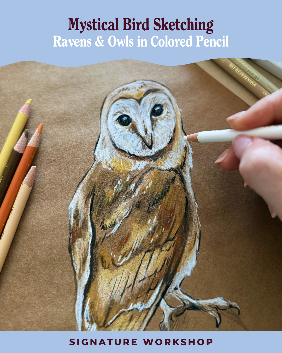 Mystical Bird Sketching: Owls & Ravens in Colored Pencils