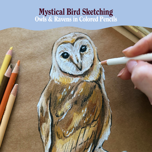 Mystical Bird Sketching: Owls & Ravens in Colored Pencils