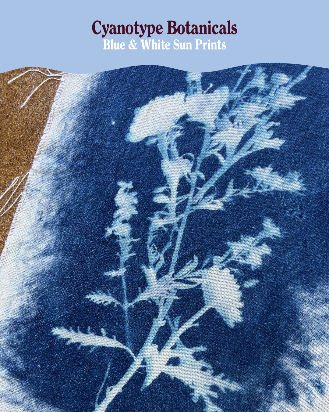 Cyanotype Botanicals: Blue & White Sun Prints