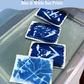 Cyanotype Botanicals: Blue & White Sun Prints