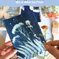 Cyanotype Botanicals: Blue & White Sun Prints