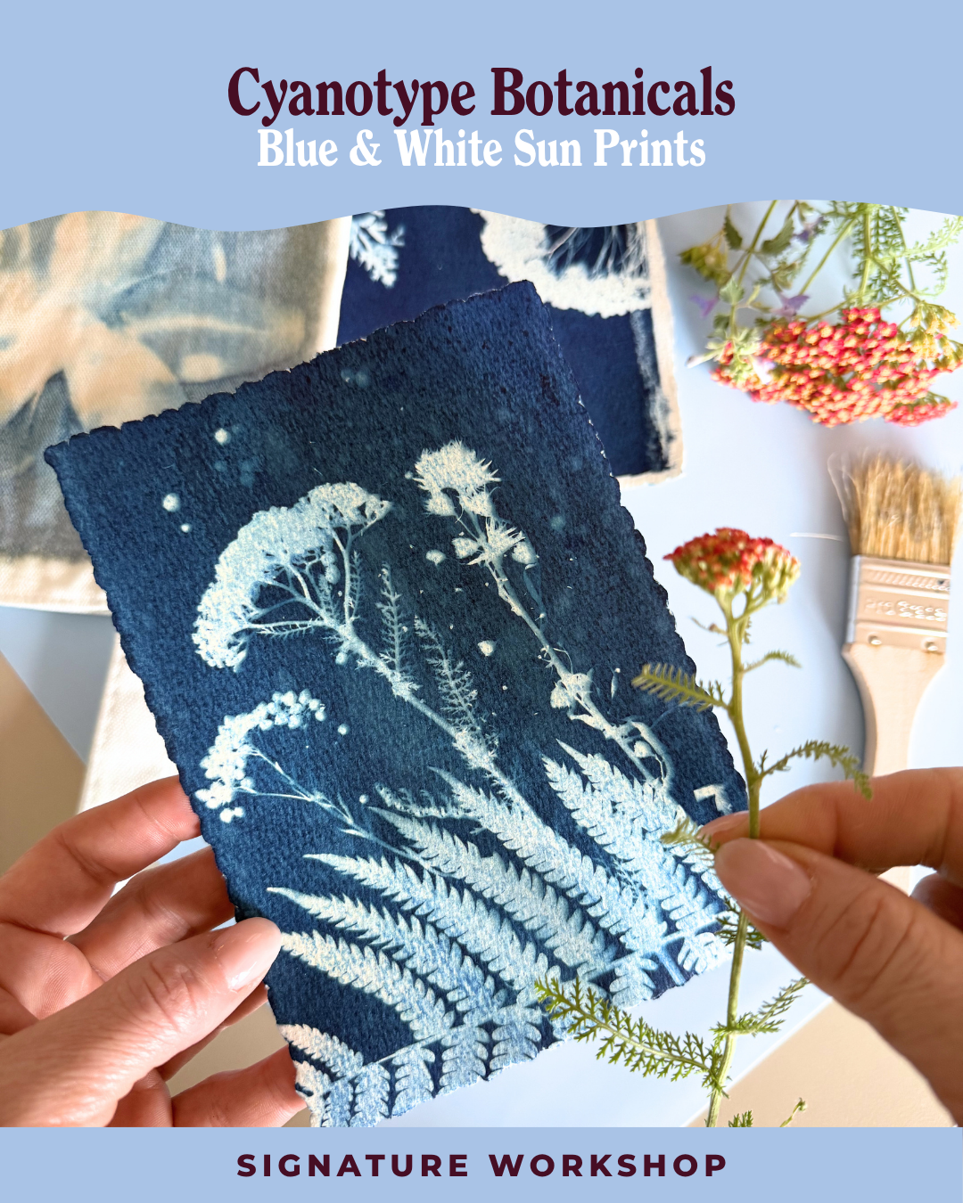 Cyanotype Botanicals: Blue & White Sun Prints