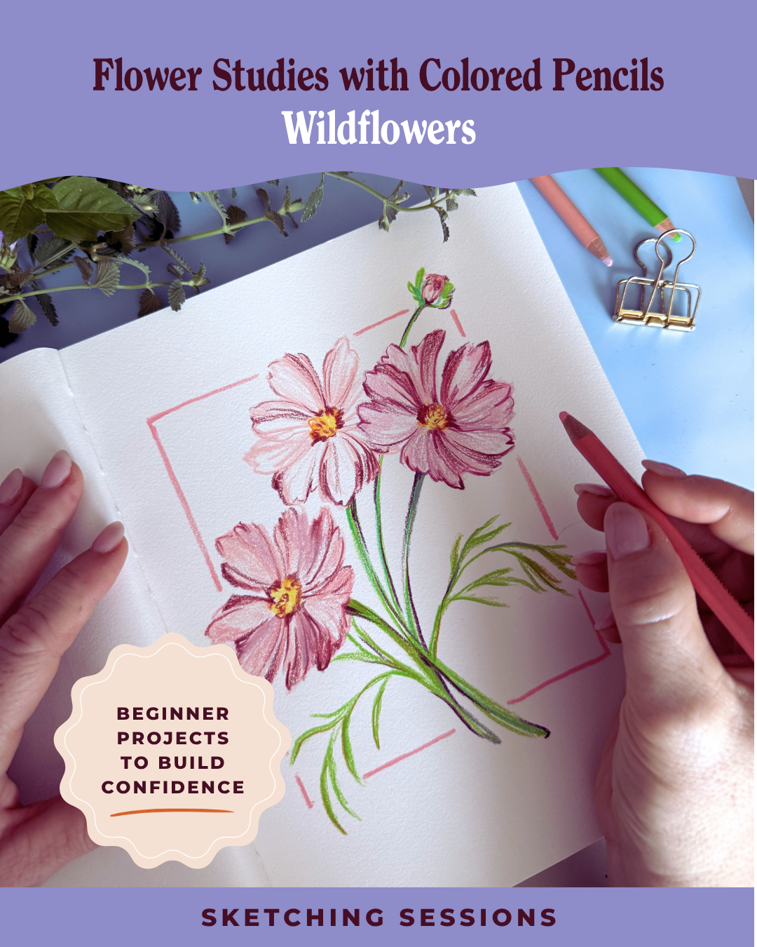 Flower Studies with Colored Pencils: Wildflowers (Sketching Sessions)