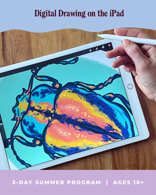Digital Drawing on the iPad (Summer Program for Ages 10+)