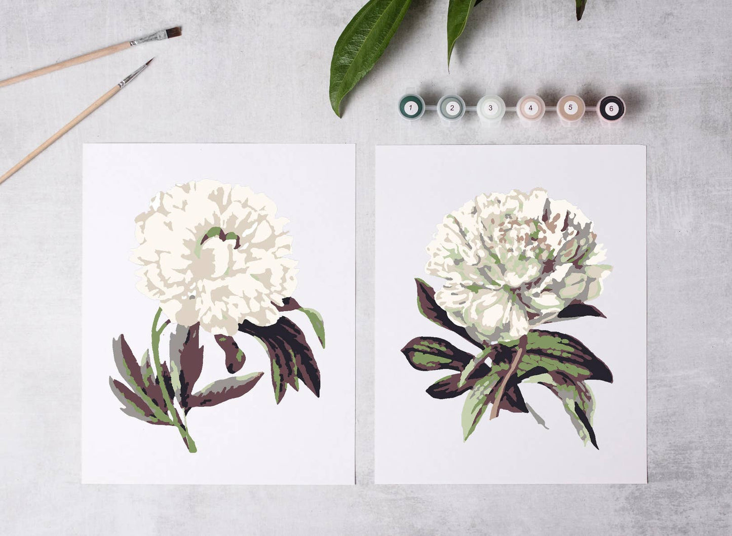 Peony Blossoms Paint-By-Numbers DIY Art Kit