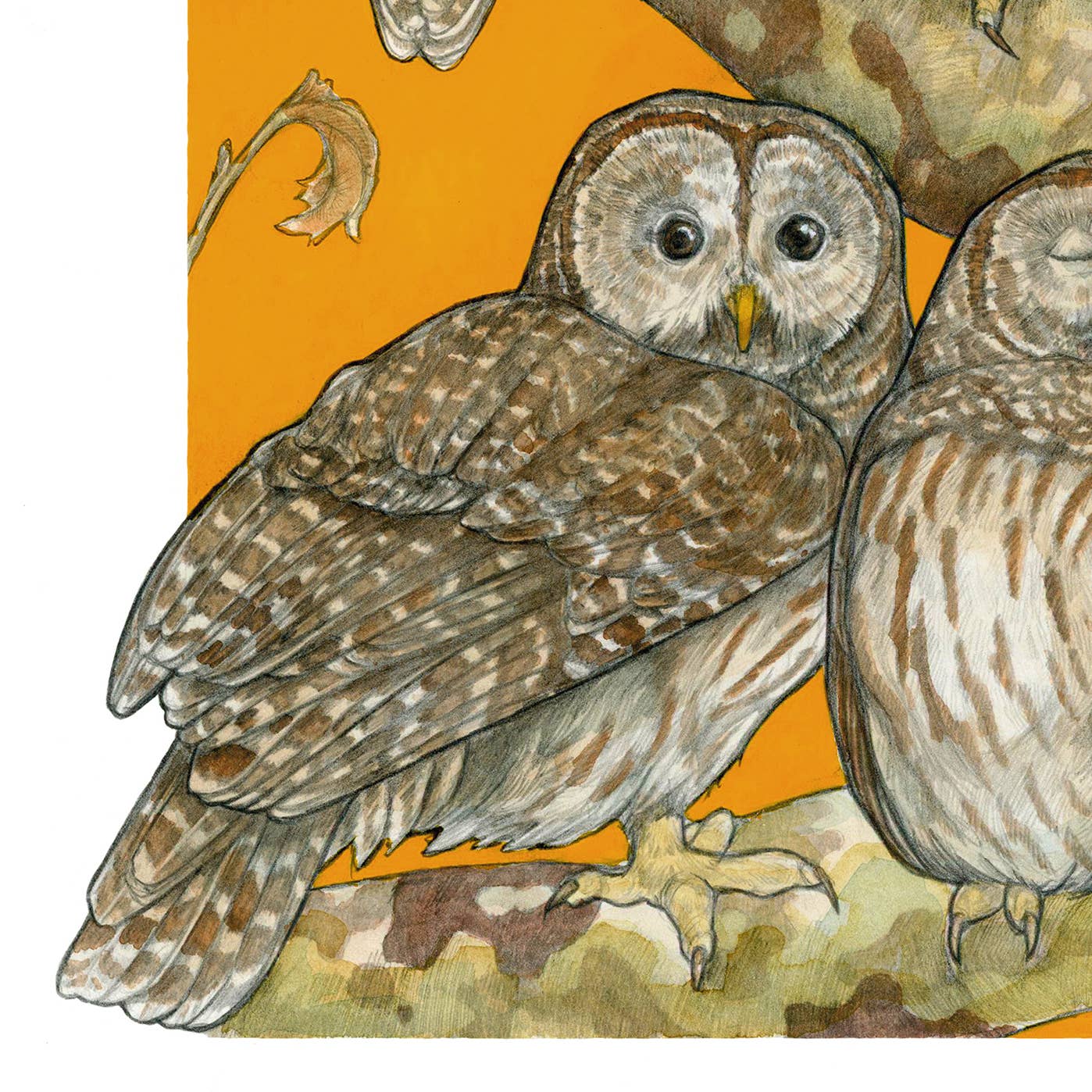 A Parliament of Owls 8x10" Art Print