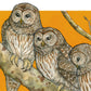 A Parliament of Owls 8x10" Art Print