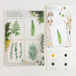 Botanical Watercolor DIY Art Kit
