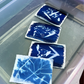 Cyanotype Botanicals: Blue & White Sun Prints