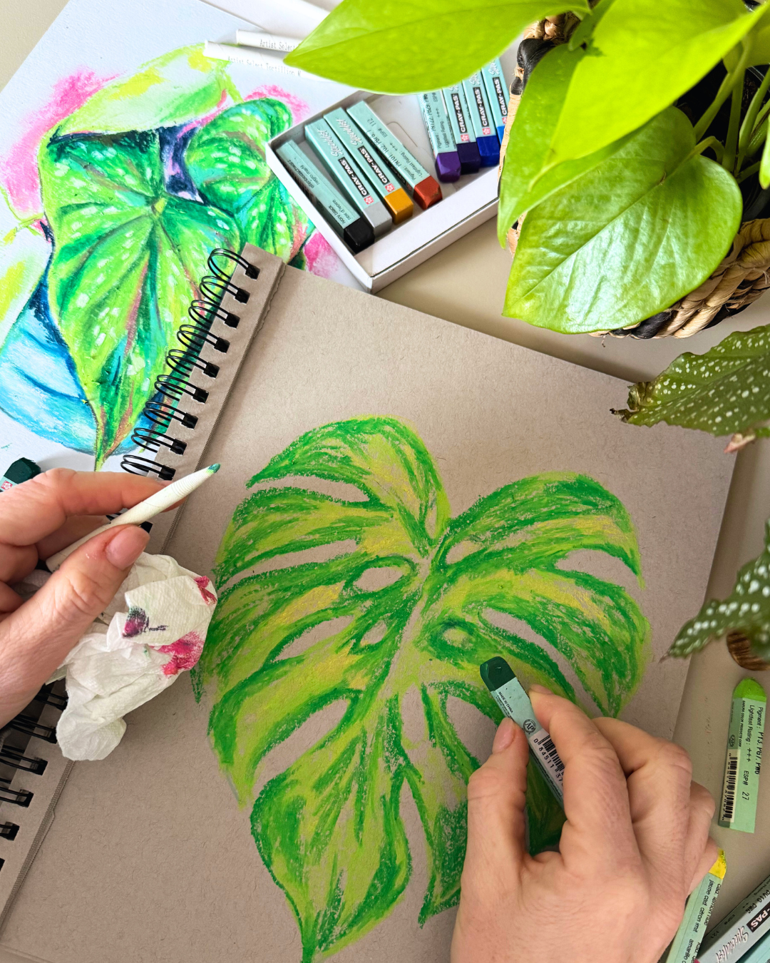 Vibrant Plants in Oil Pastels
