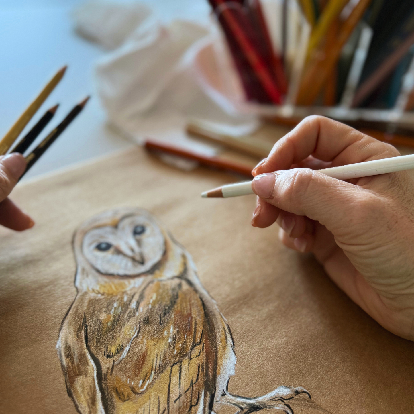 Mystical Bird Sketching: Owls & Ravens in Colored Pencils