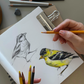 Winter Bird Sketching in Colored Pencils