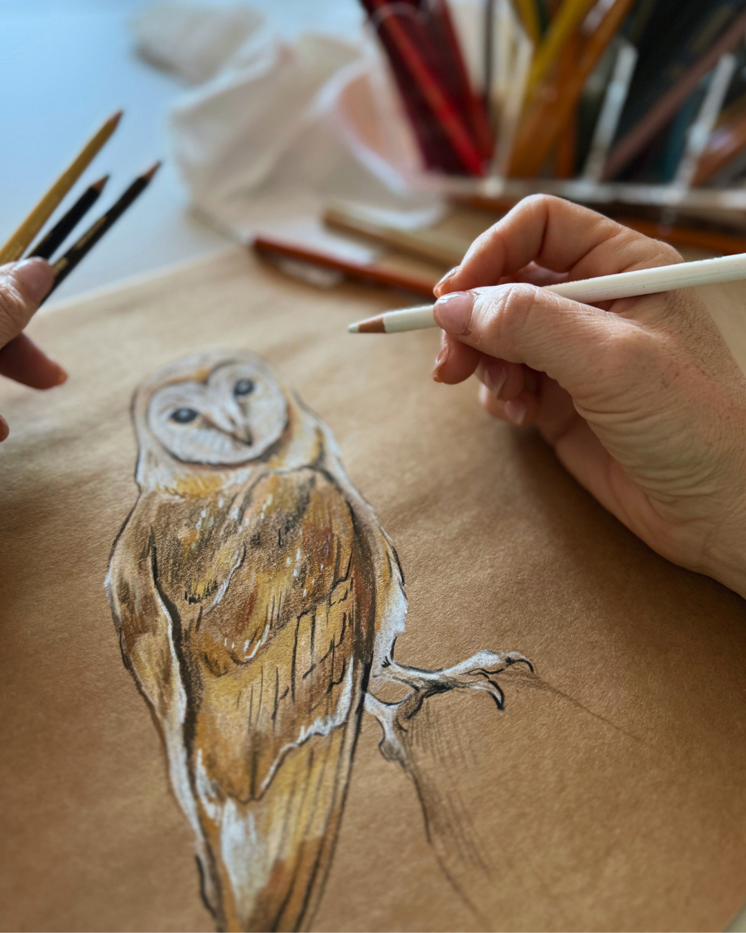 Mystical Bird Sketching: Owls & Ravens in Colored Pencils