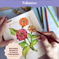 Flower Studies with Colored Pencils: Pollinators (Sketching Sessions)