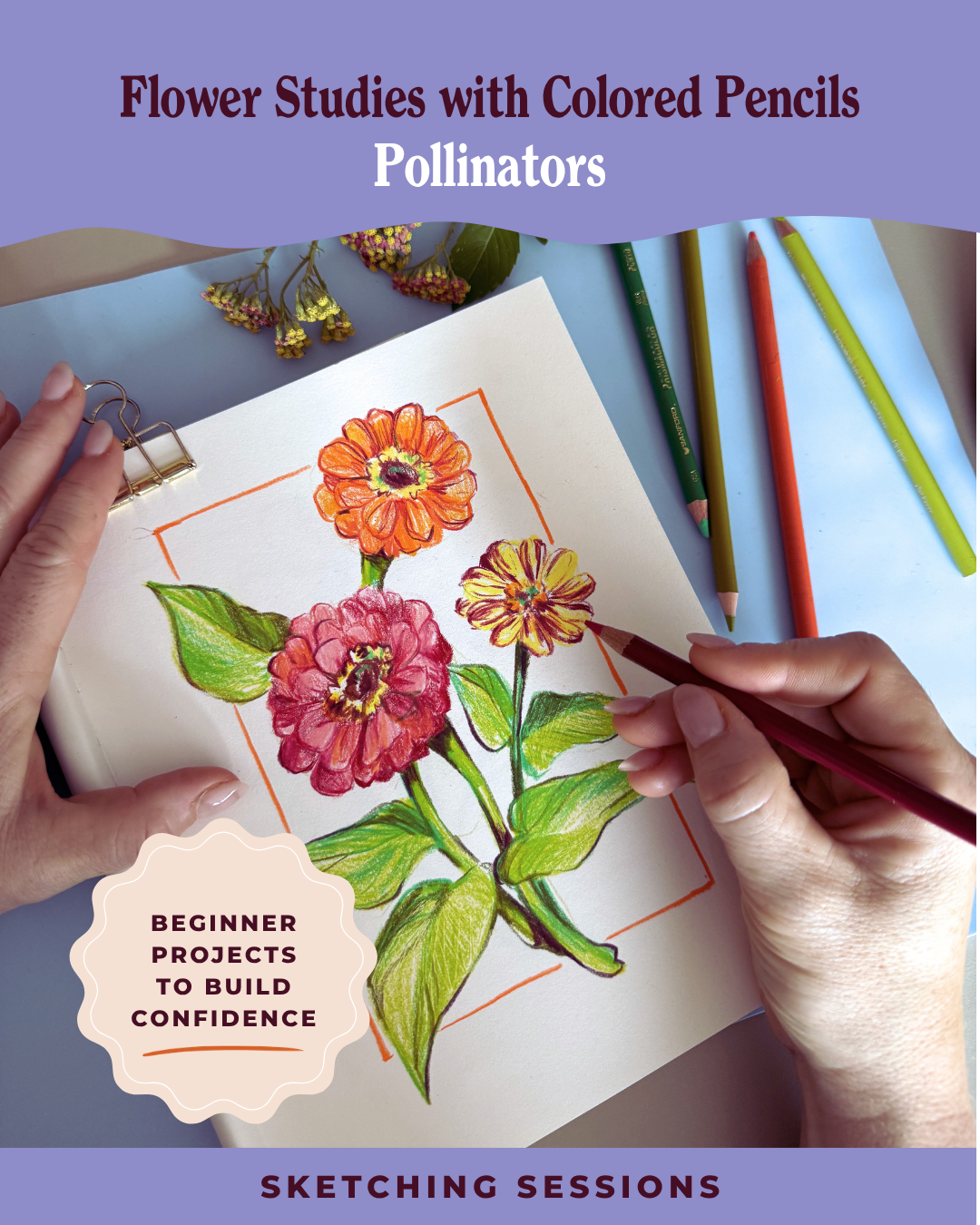 Flower Studies with Colored Pencils: Pollinators (Sketching Sessions)