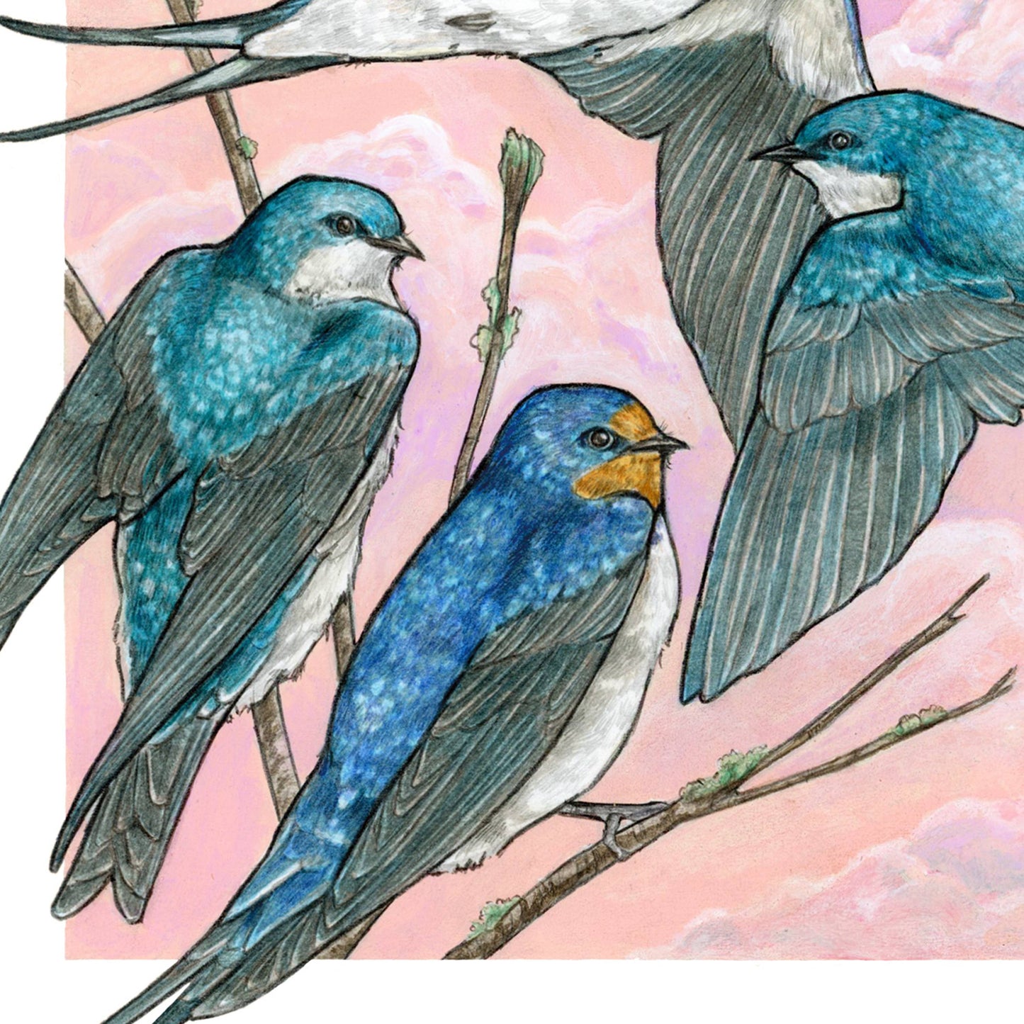 A Flight of Swallows 11x14" Art Print