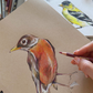 Bird Sketching with Colored Pencils