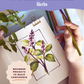 Flower Studies with Colored Pencils: Herbs (Sketching Sessions)
