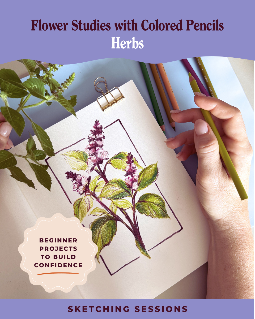 Flower Studies with Colored Pencils: Herbs (Sketching Sessions)