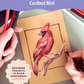 Seasonal Sketching with Colored Pencils: Cardinal Bird