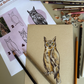 Mystical Bird Sketching: Owls & Ravens in Colored Pencils