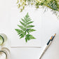 Botanical Watercolor DIY Art Kit