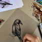 Mystical Bird Sketching: Owls & Ravens in Colored Pencils
