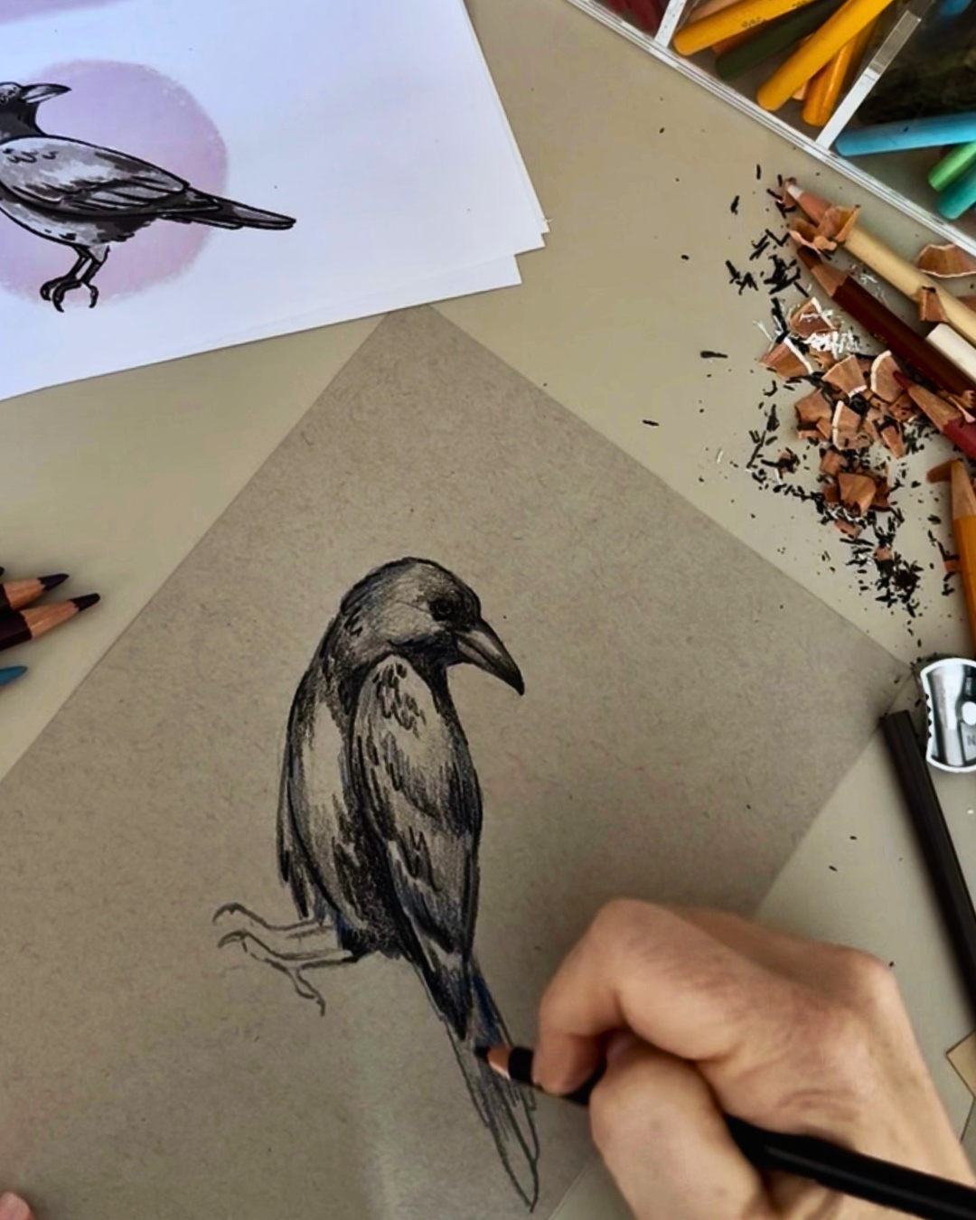 Mystical Bird Sketching: Owls & Ravens in Colored Pencils