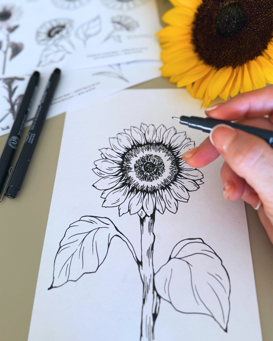 Flower Illustration with Ink: Summer Blooms