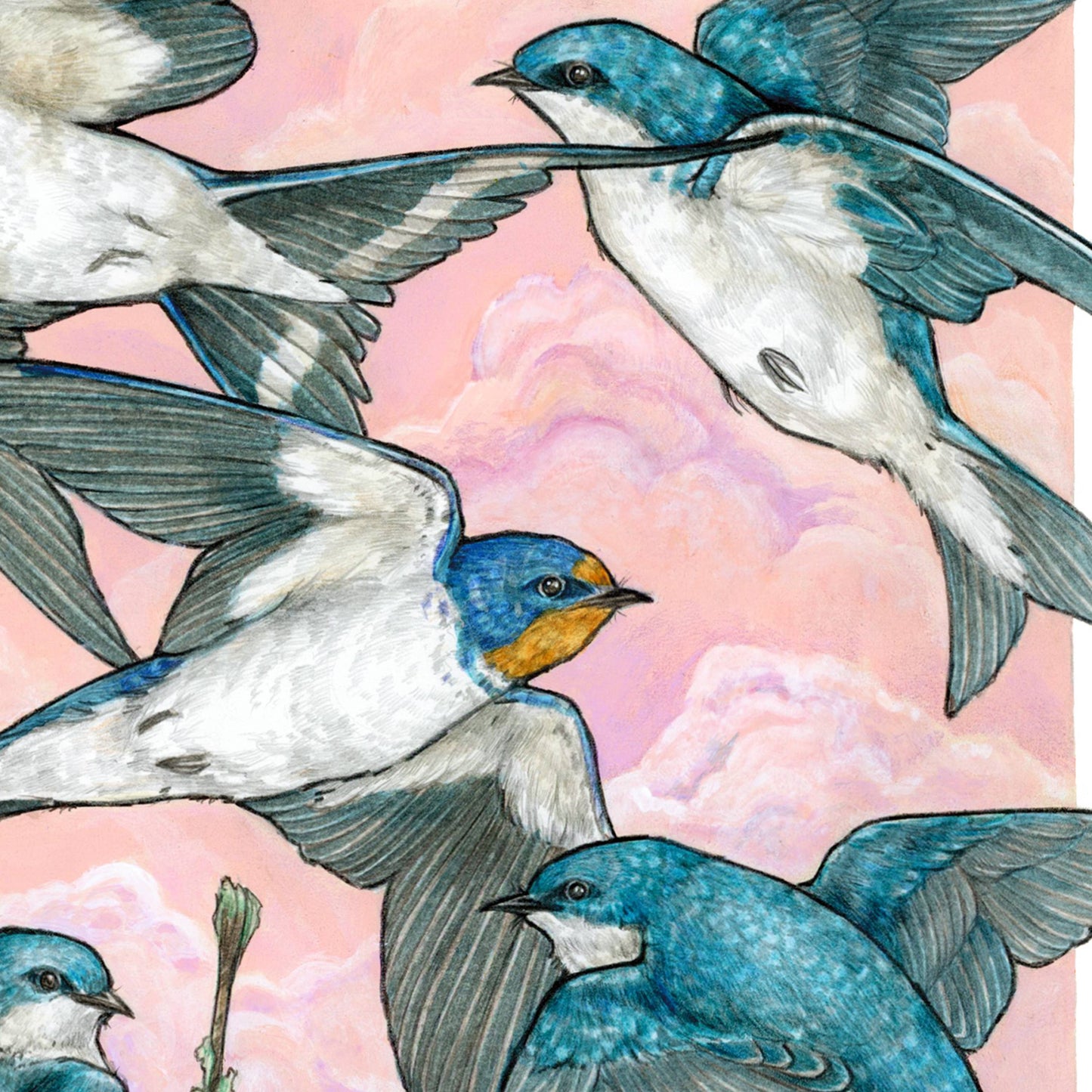 A Flight of Swallows 11x14" Art Print