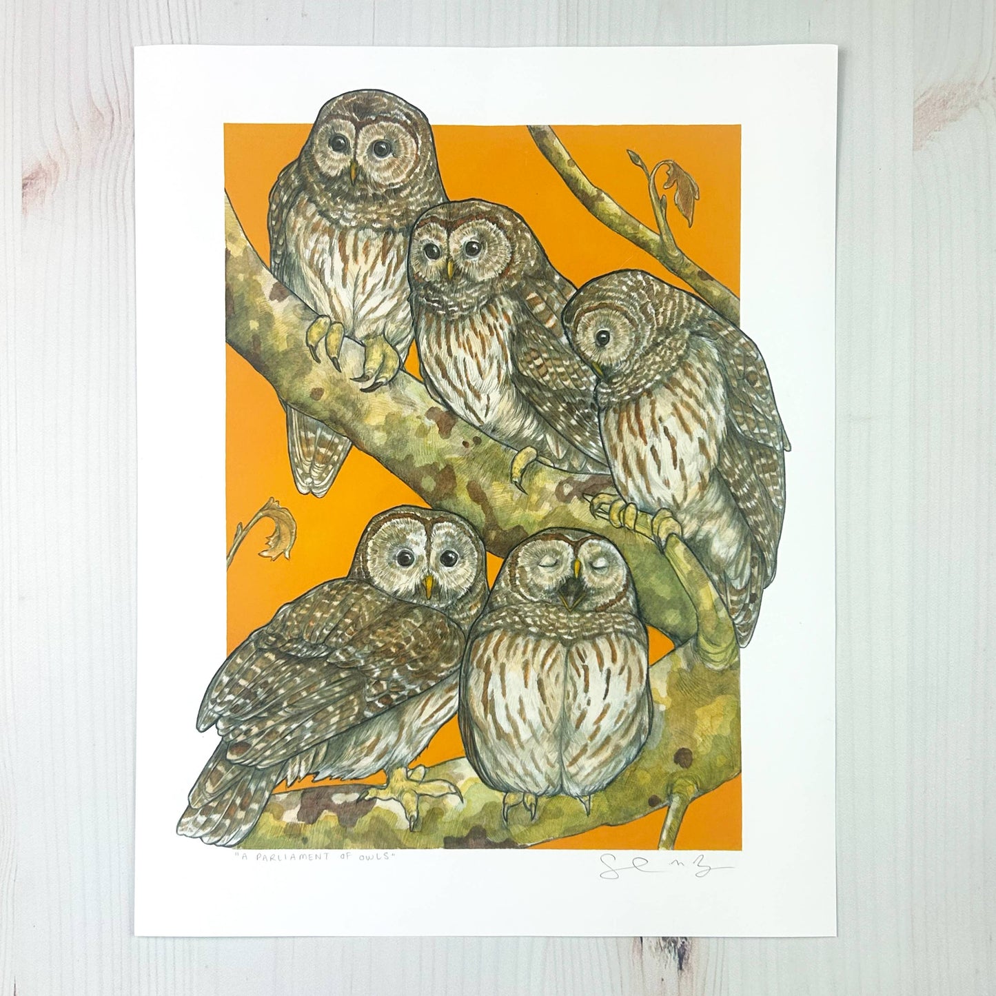 A Parliament of Owls 8x10" Art Print