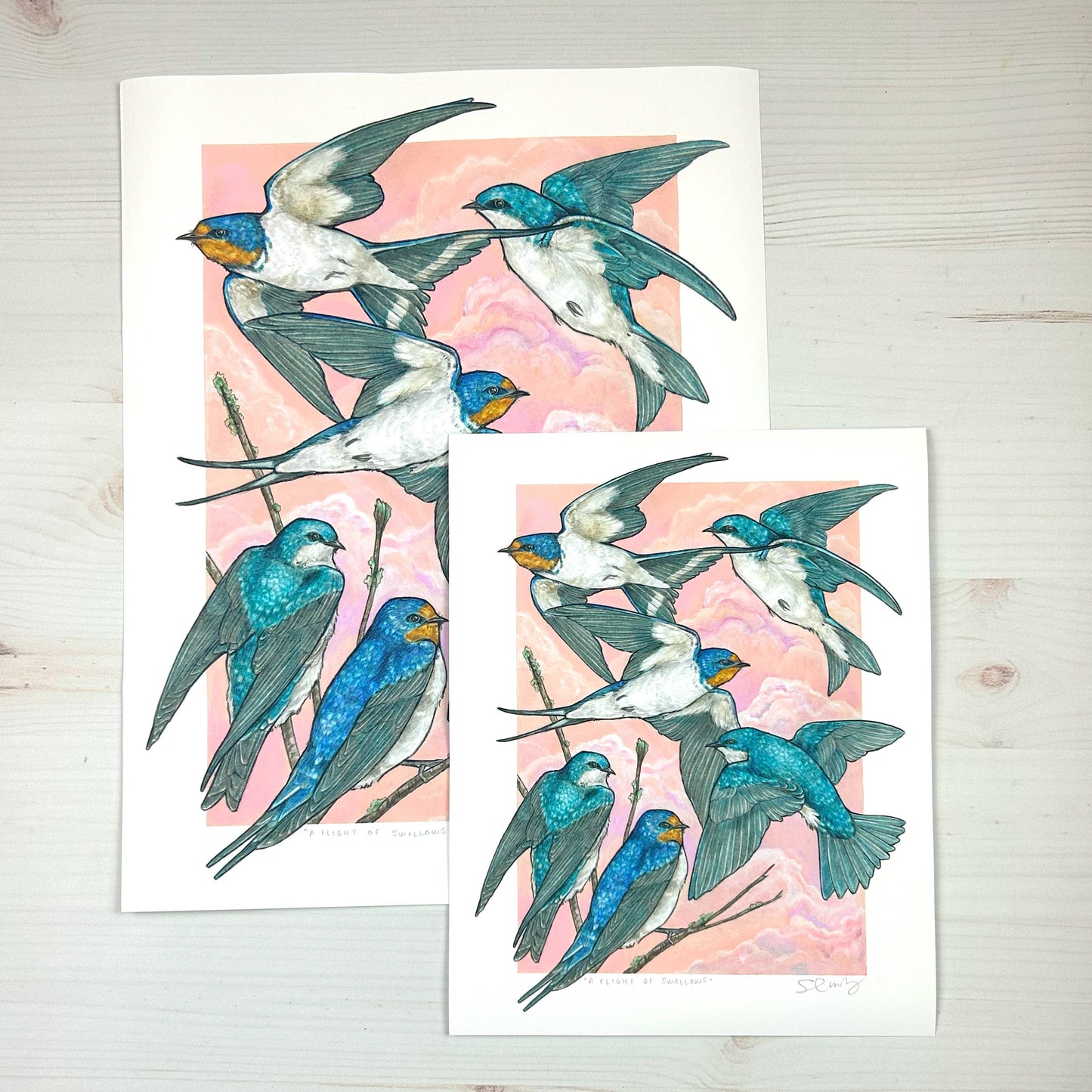 A Flight of Swallows 11x14" Art Print