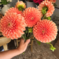 Inspiration from the Garden: Floral Arranging + Watercolor Painting