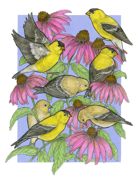 A Charm of Finches Art Print