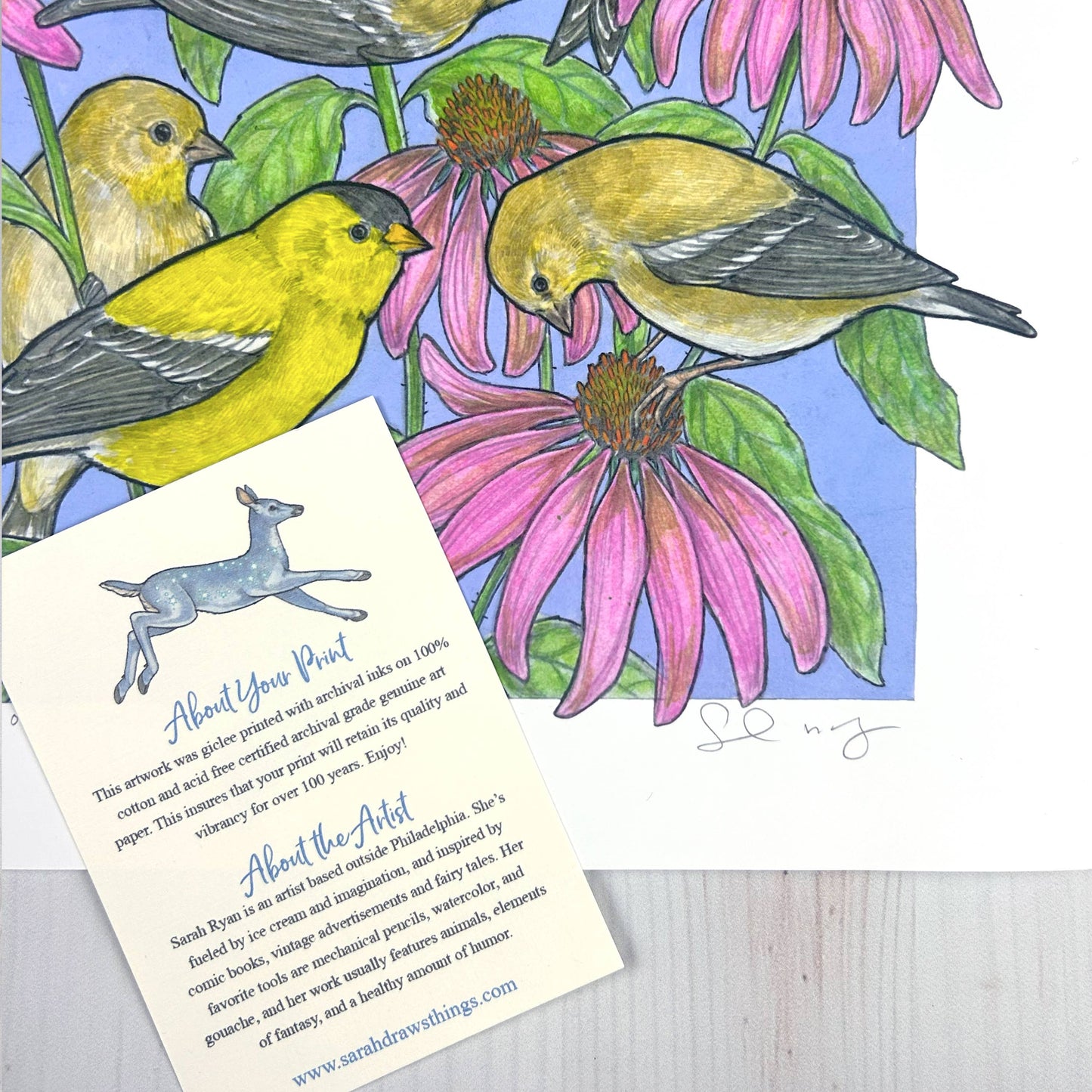 A Charm of Finches Art Print