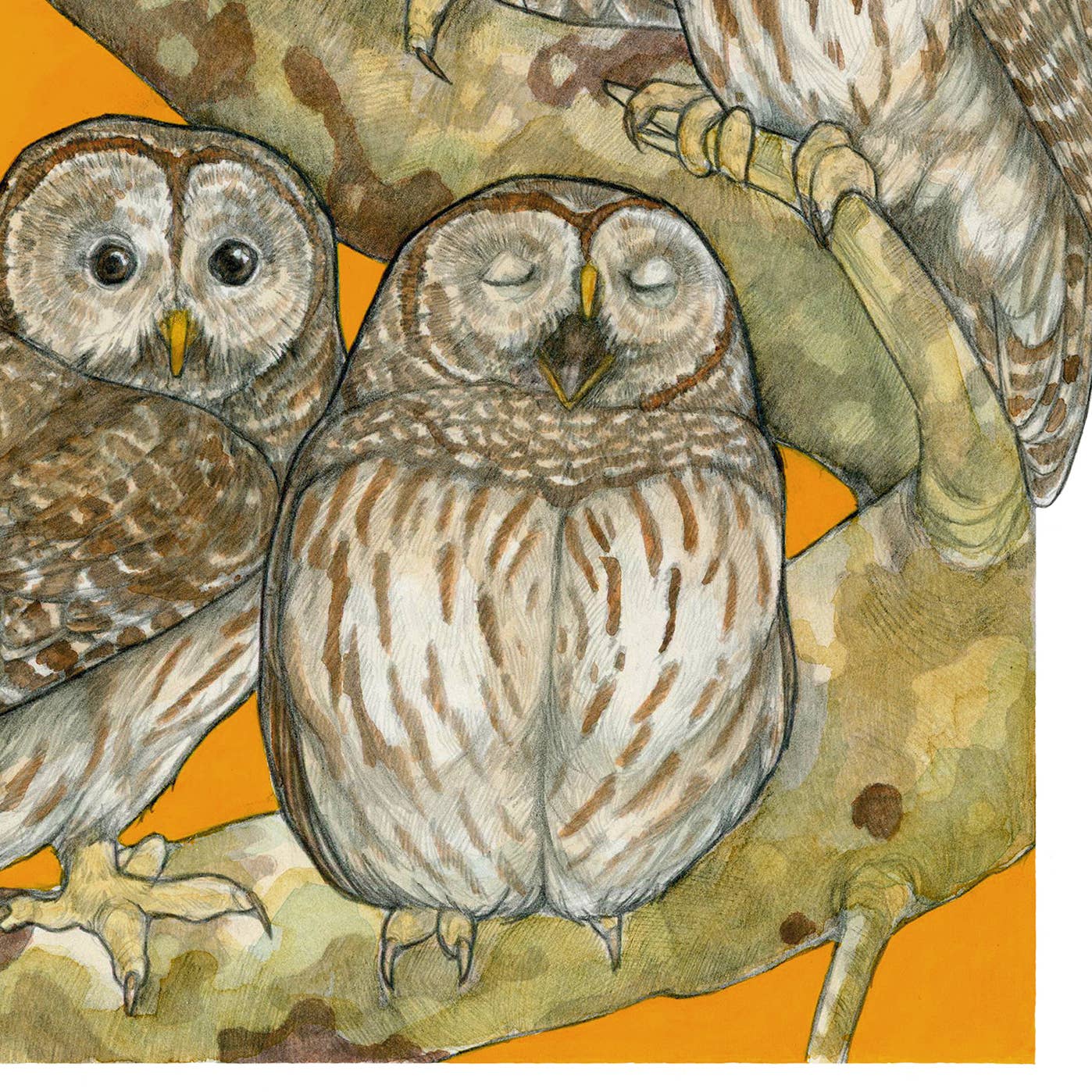 A Parliament of Owls 8x10" Art Print