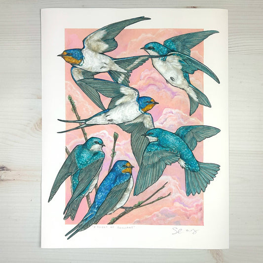 A Flight of Swallows 11x14" Art Print