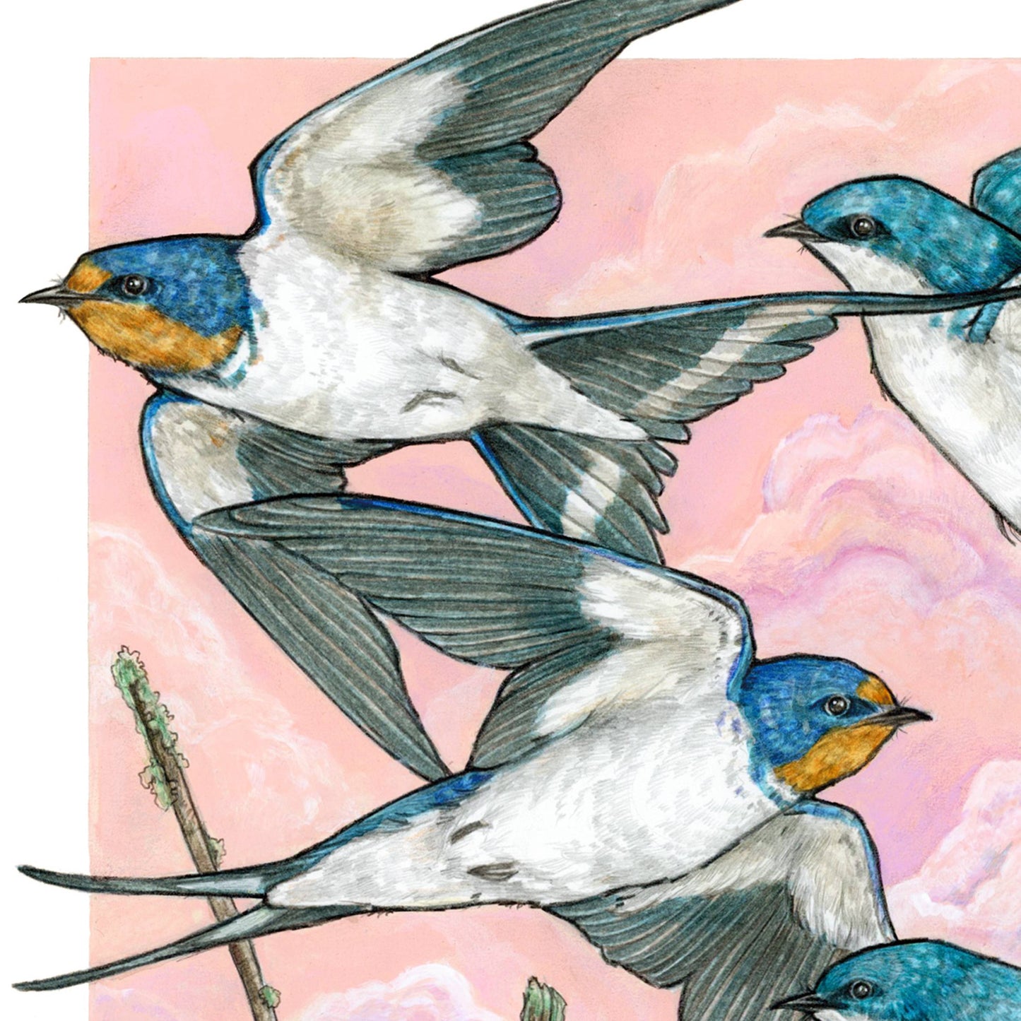 A Flight of Swallows 11x14" Art Print