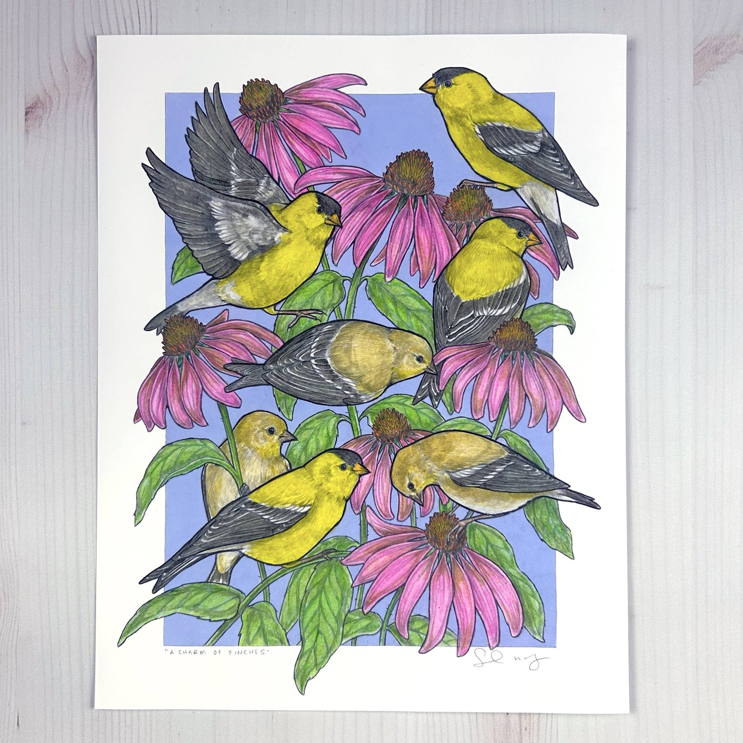 A Charm of Finches Art Print