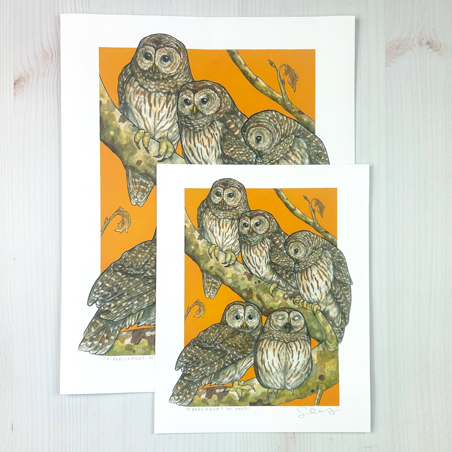 A Parliament of Owls 8x10" Art Print
