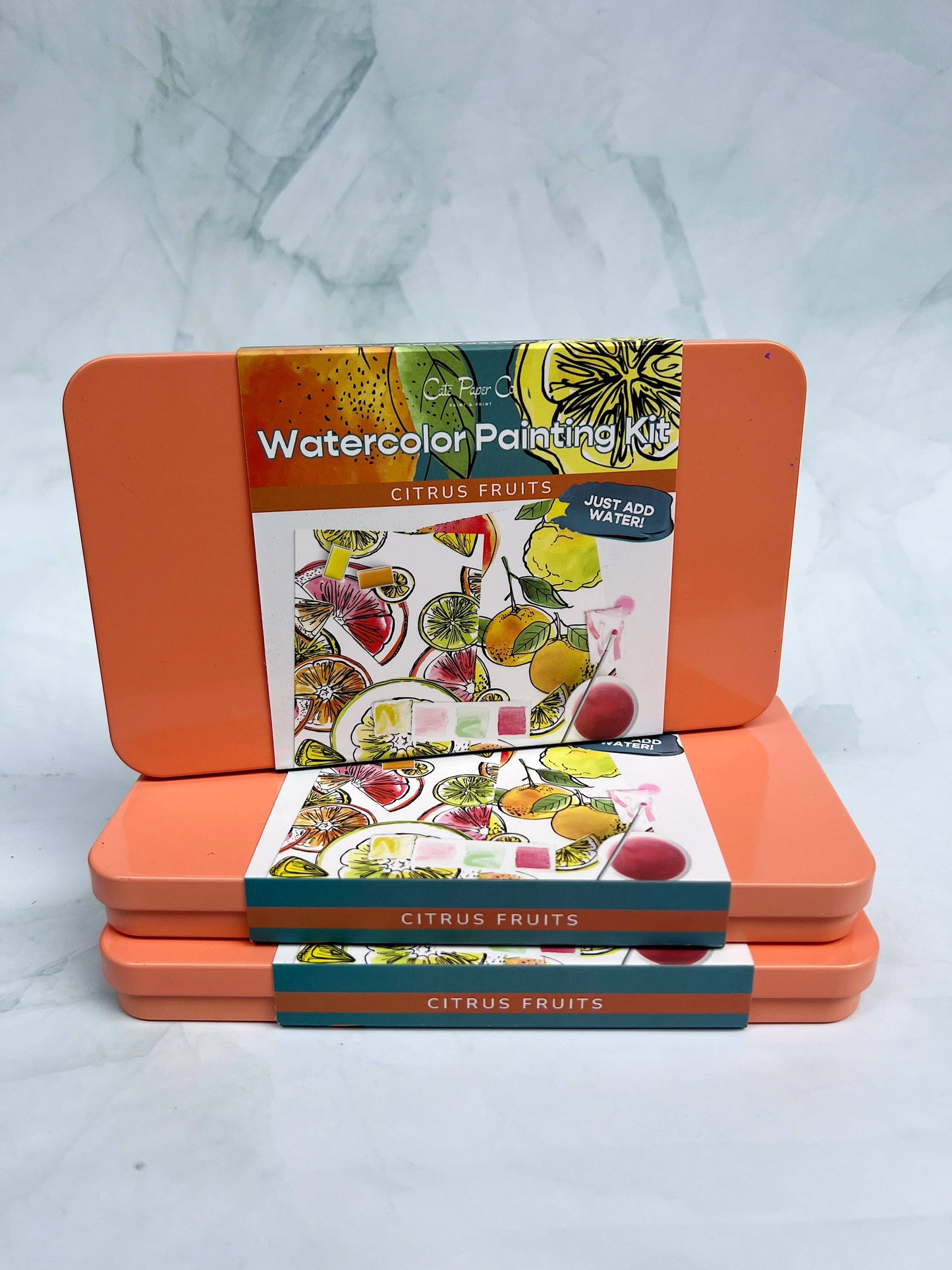 Citrus Fruits Watercolor Painting DIY Art Kit