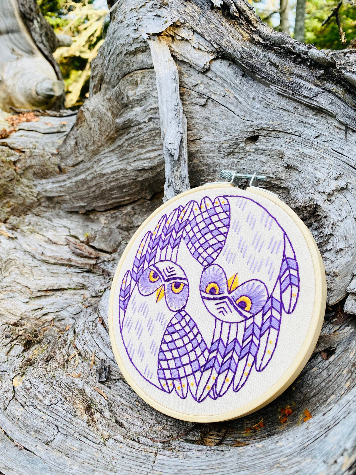 Burrowing Owls DIY Embroidery Kit