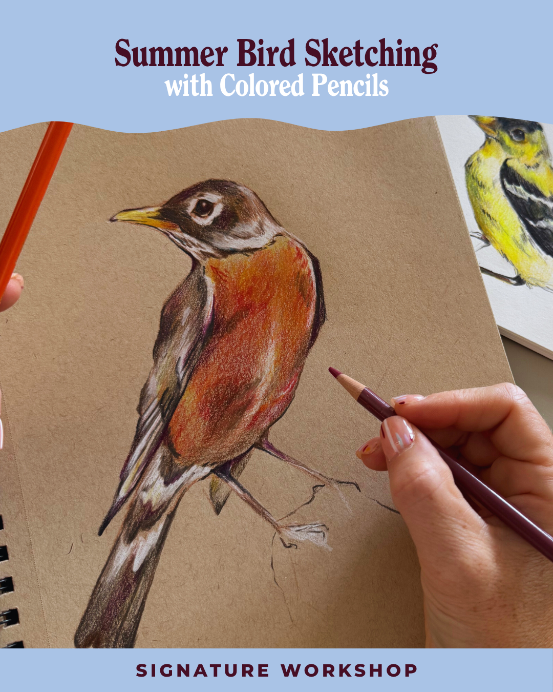 Summer Bird Sketching with Colored Pencils