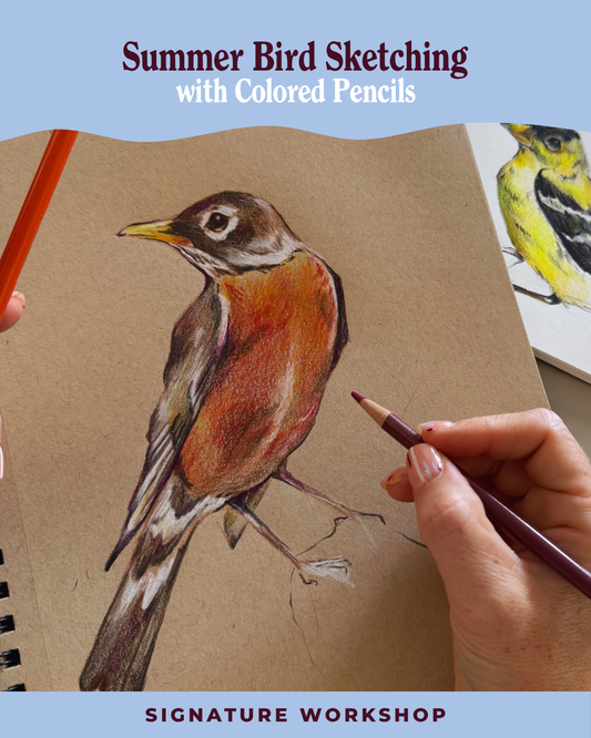 Summer Bird Sketching with Colored Pencils